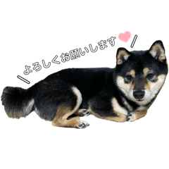 nana_20250417100924