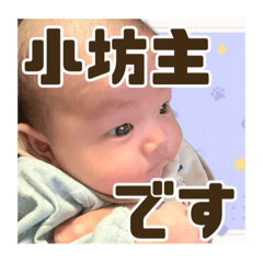 mi_20250417102526