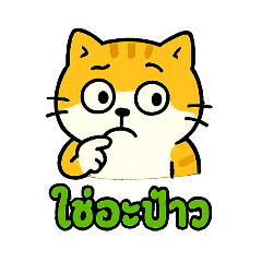 A chubby, mischievous, and  orange cat.