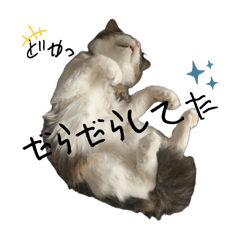 RUI_20250416213546