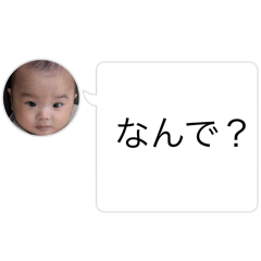 Koto_20250416214708