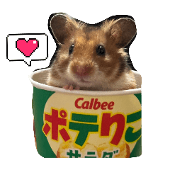 Kaori_20250416214841