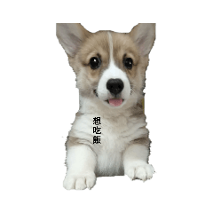 生活基