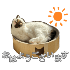 mamemochi_20250416221608