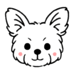 pupu_20250416221759