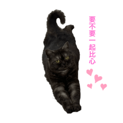 包啊之噗啾亂入
