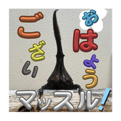 haru_20250416230712