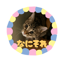 haru_20250416231906