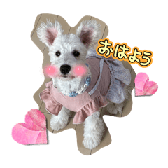 saya_20250417002046