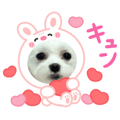 haruka_20250417002957