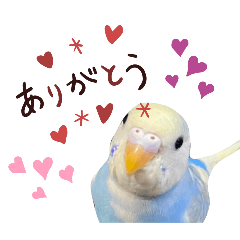 KANA_20250417020351