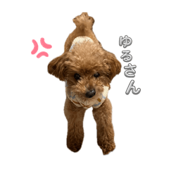 ako_20250417025518