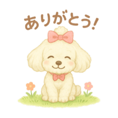 CoochanChannel_20250417085311