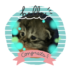 cat♪flower2
