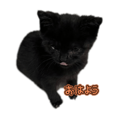 yu_20250417135004