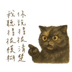 毛毛 阿毛 貓貓