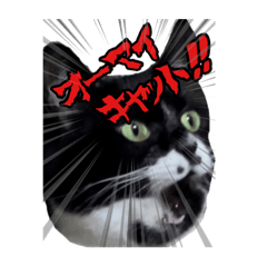 マサラ社長のLINEスタンプ