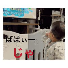petmuppet_20250417123330