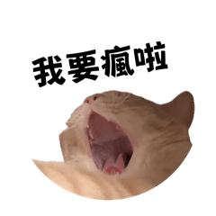 66_20250415172448