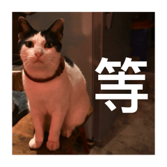 BingHeng Kuo_20250415185240