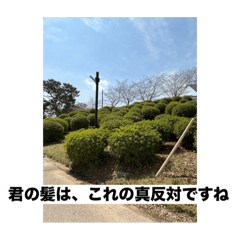 A_20250416200637