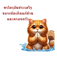 Meow Ginger