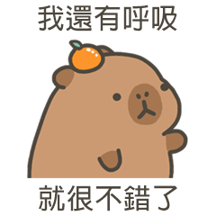 卡比巴拉肥水豚還有呼吸