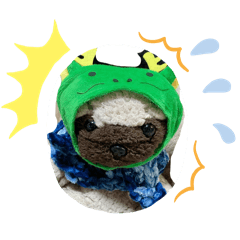 kobutanokituneko_20250417000339