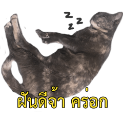 iTaoSaennarak