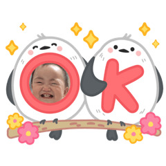 崽崽！