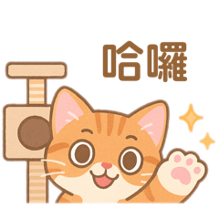 泰奶日常用語