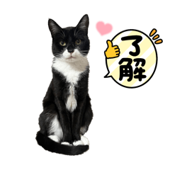 haruka_20250417082114