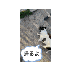 marimo_20250417190946