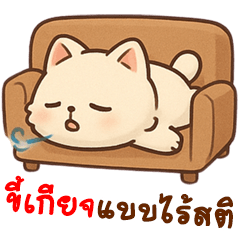 Too Tired Cat Just Wanna Be Soft & Still