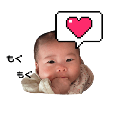 Akaneco_20250417160101