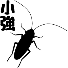 Cockroach moving 1 (Taiwan)