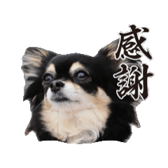 yu_20250418025643