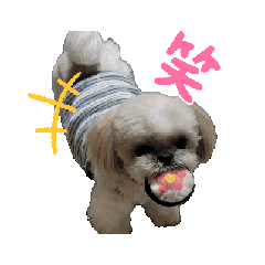 Tomokichi_20250418083728