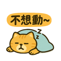 懶懶小黃貓