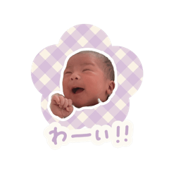 maple_20250417181650
