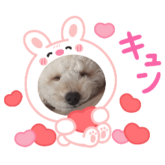 nana_20250417181822