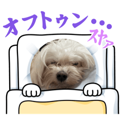 maruo_no_mama