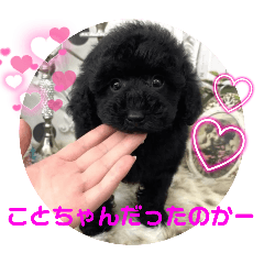 haru_20250417231602