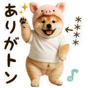 dajare shibainu [custom]