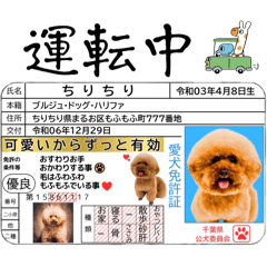 hono_20250416215736