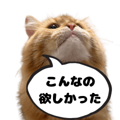 red tabby cats stamp