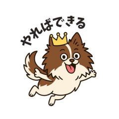 _Moru_life_