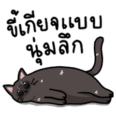 The Tired Cola Cat: so lazy