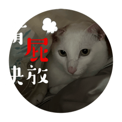多多の專屬2