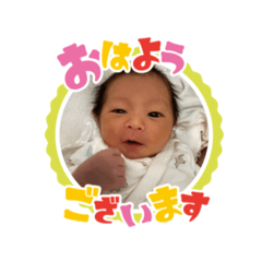 panda_20250417235404